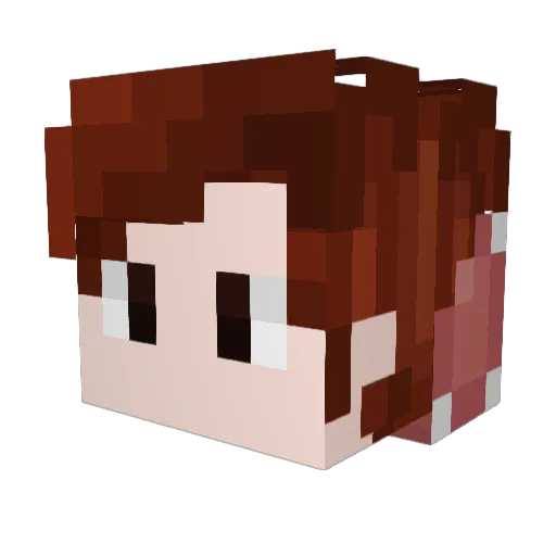 voidgamez Minecraft avatar head, 3D render