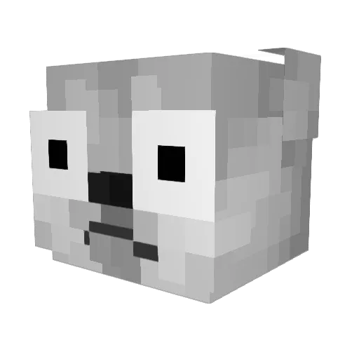 voidiiz Minecraft avatar head, 3D render