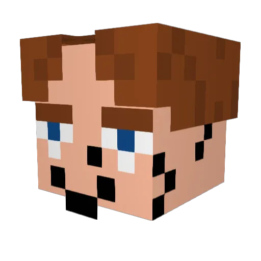 voidkw Minecraft avatar head, 3D render