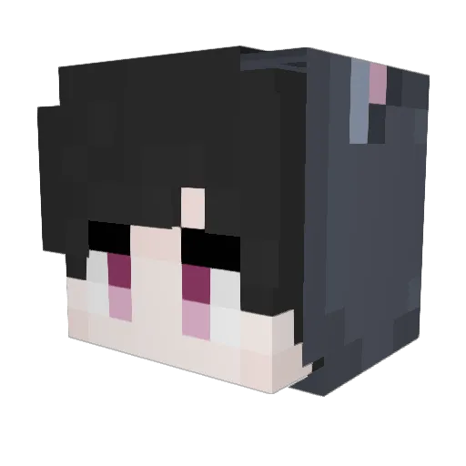 voidmental Minecraft avatar head, 3D render
