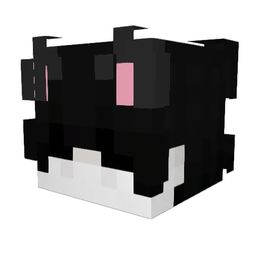 voidoadd Minecraft avatar head, 3D render