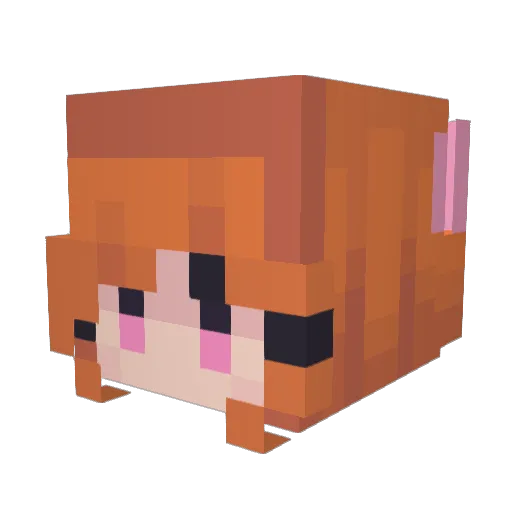 voidporo1 Minecraft avatar head, 3D render