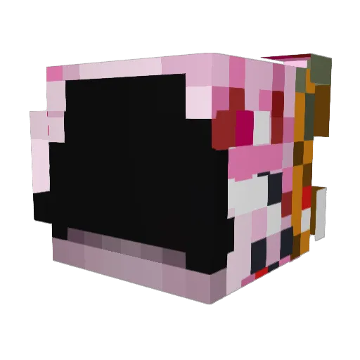 voidsgrail Minecraft avatar head, 3D render