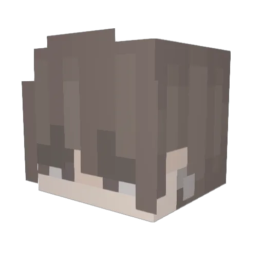 voidstial Minecraft avatar head, 3D render