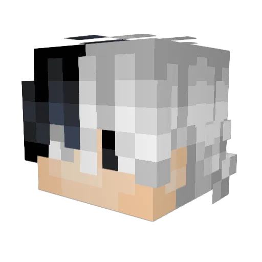 voidwalker087 Minecraft avatar head, 3D render