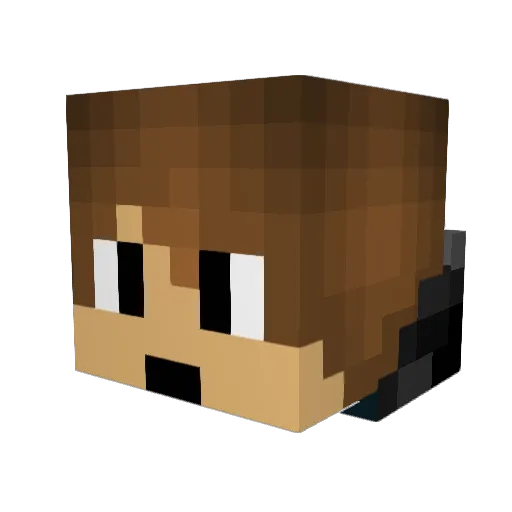 voidzeiras Minecraft avatar head, 3D render