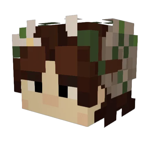 voinn Minecraft avatar head, 3D render