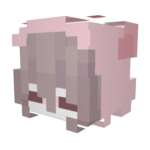 voiz1925 Minecraft avatar head, 3D render