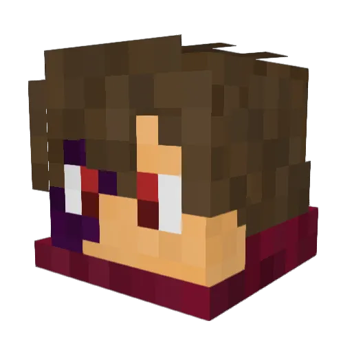 volaillebilaille Minecraft avatar head, 3D render