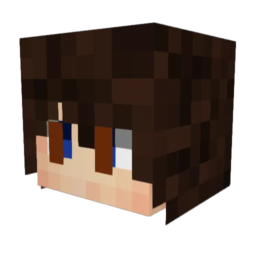 vole_mc Minecraft avatar head, 3D render