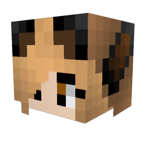 volkswagons Minecraft avatar head, 3D render