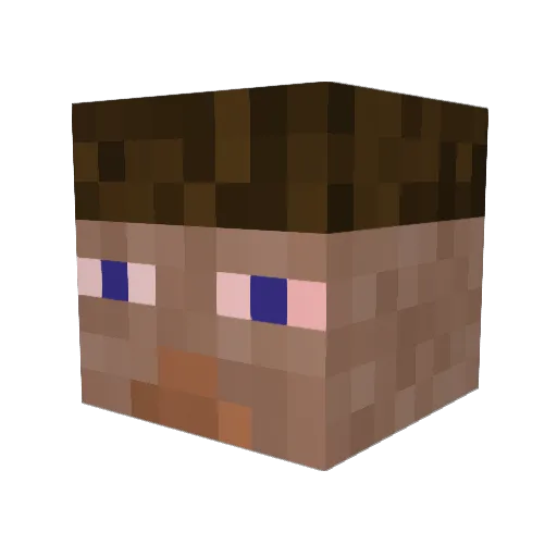 volleyballgaming Minecraft avatar head, 3D render