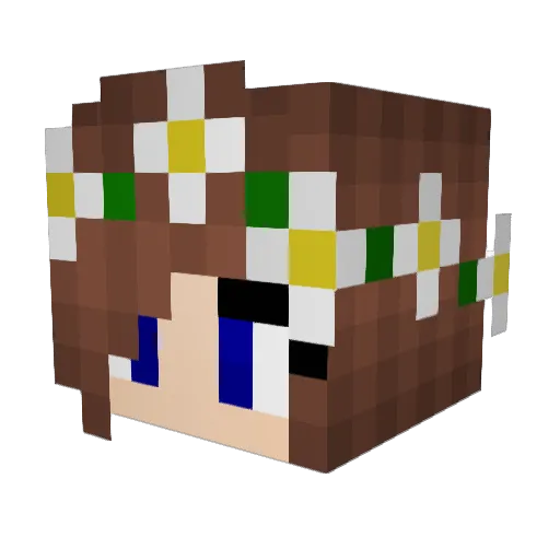 volleyballv1 Minecraft avatar head, 3D render