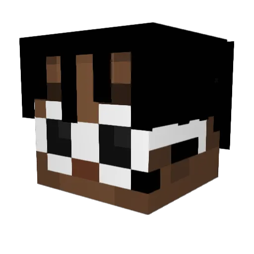 voltaireloveme Minecraft avatar head, 3D render