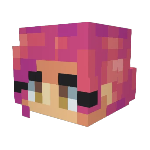 voltannix Minecraft avatar head, 3D render
