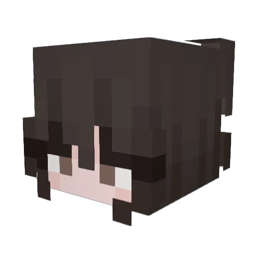 von2 Minecraft avatar head, 3D render