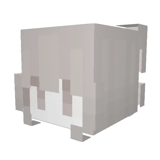 vonneti Minecraft avatar head, 3D render