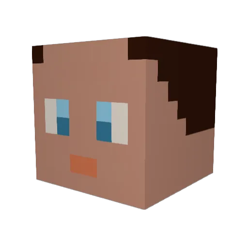 vonrich81 Minecraft avatar head, 3D render