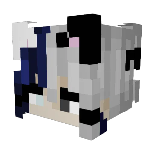 vonseitz_ Minecraft avatar head, 3D render