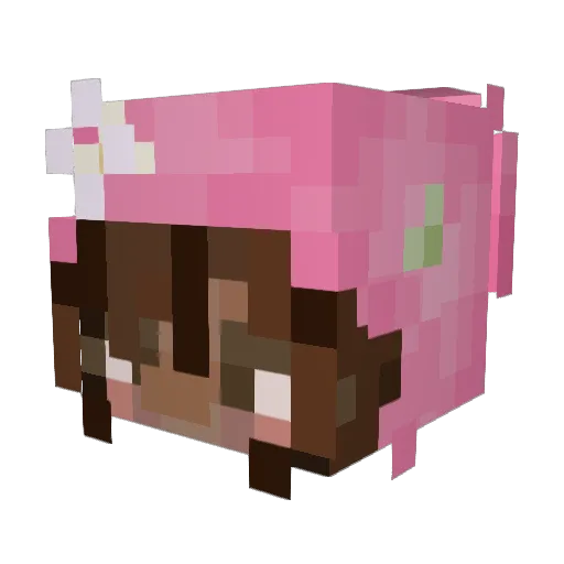 voolinz Minecraft avatar head, 3D render