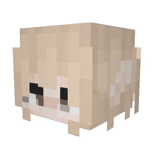vorobushrek Minecraft avatar head, 3D render