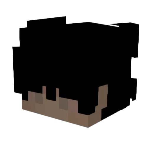vortice Minecraft avatar head, 3D render