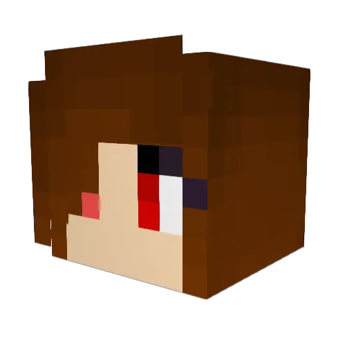 vosina Minecraft avatar head, 3D render