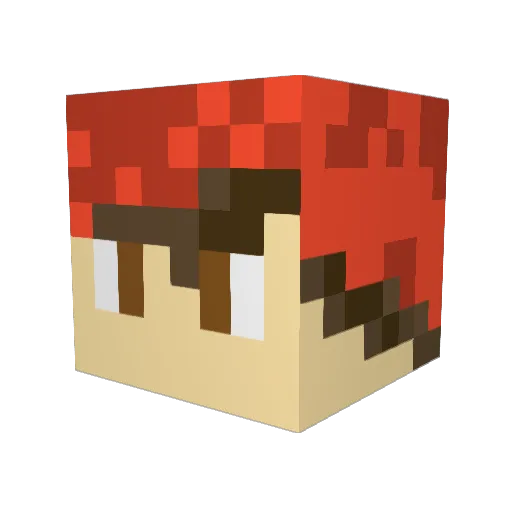 vosmicality Minecraft avatar head, 3D render