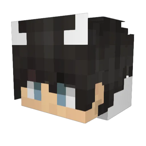 vot_ Minecraft avatar head, 3D render