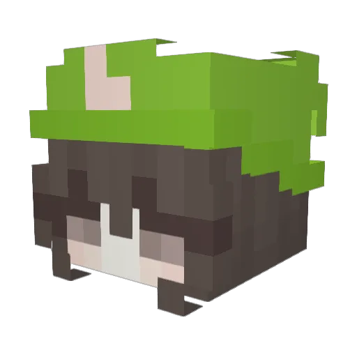 voteKim Minecraft avatar head, 3D render