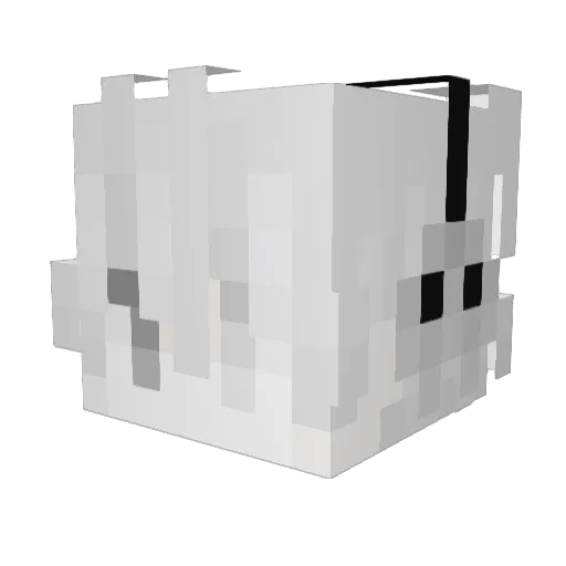 vourzeur Minecraft avatar head, 3D render