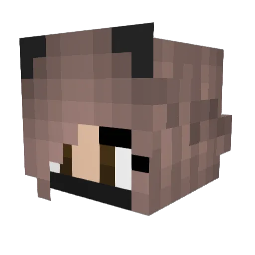 voxxz Minecraft avatar head, 3D render