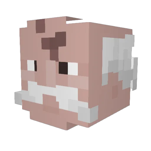 voxyr Minecraft avatar head, 3D render