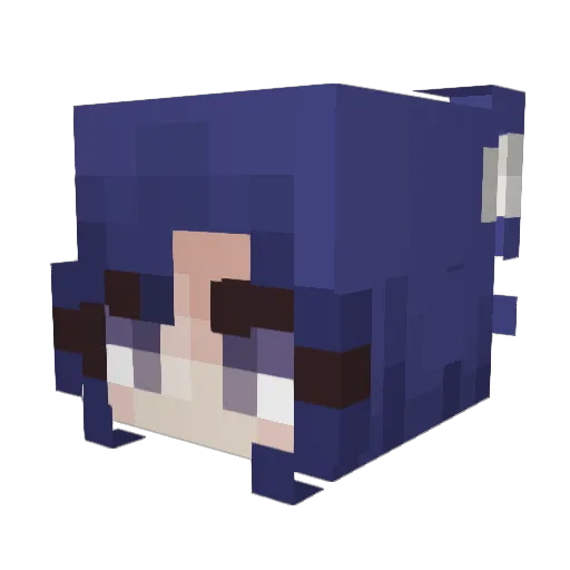 voyager4263 Minecraft avatar head, 3D render