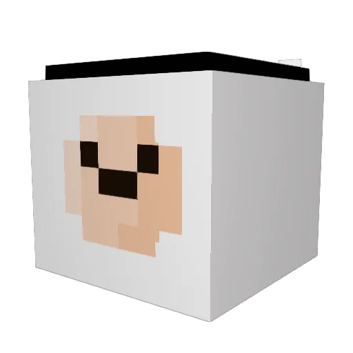 voyager_69 Minecraft avatar head, 3D render