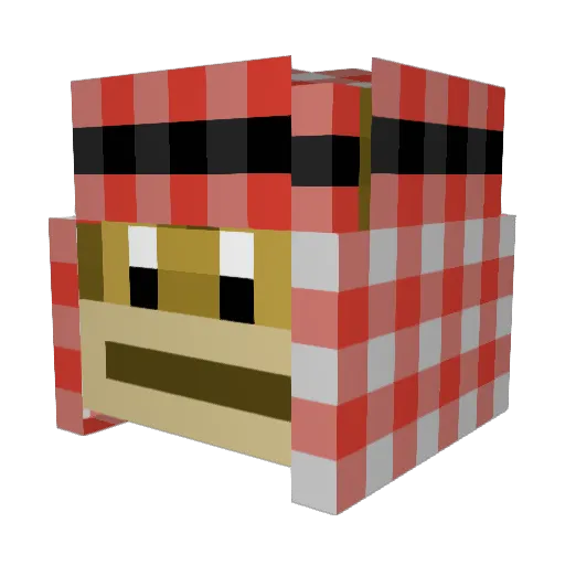 voyager_98 Minecraft avatar head, 3D render