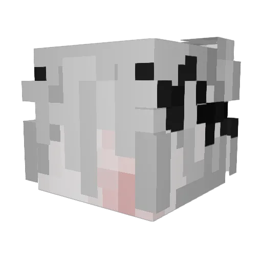 vozkl Minecraft avatar head, 3D render