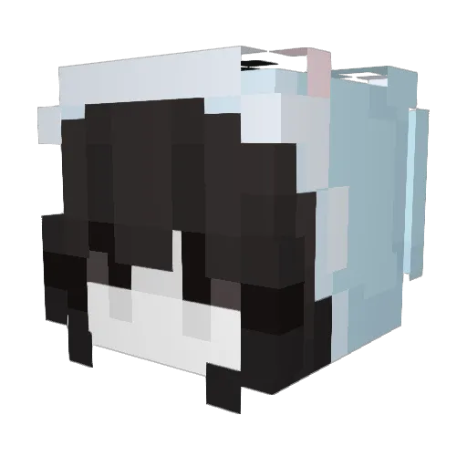 vqllerei Minecraft avatar head, 3D render