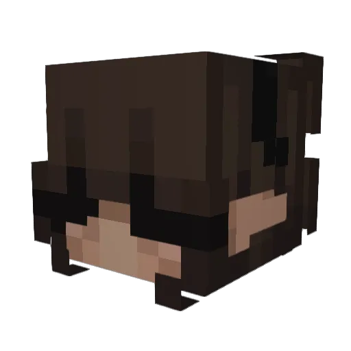 vqmrhi Minecraft avatar head, 3D render