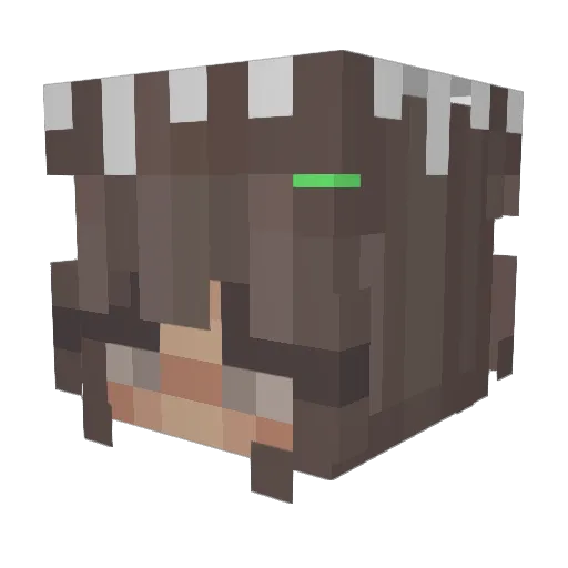 vqulior Minecraft avatar head, 3D render