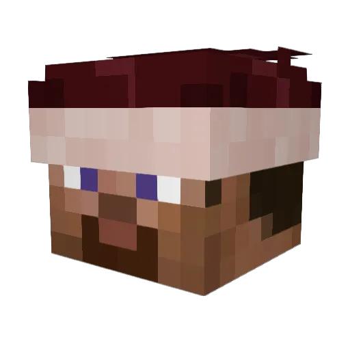 vrgh Minecraft avatar head, 3D render