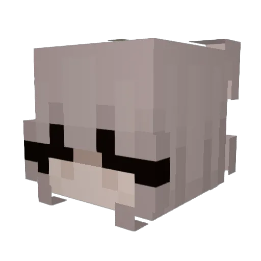vrinni Minecraft avatar head, 3D render