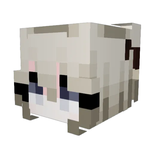 vrisau Minecraft avatar head, 3D render