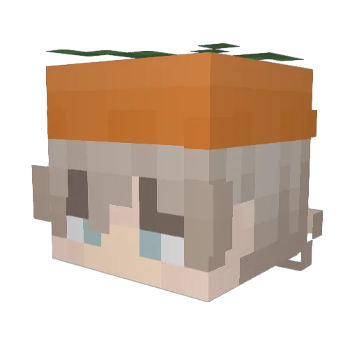 vrksn Minecraft avatar head, 3D render