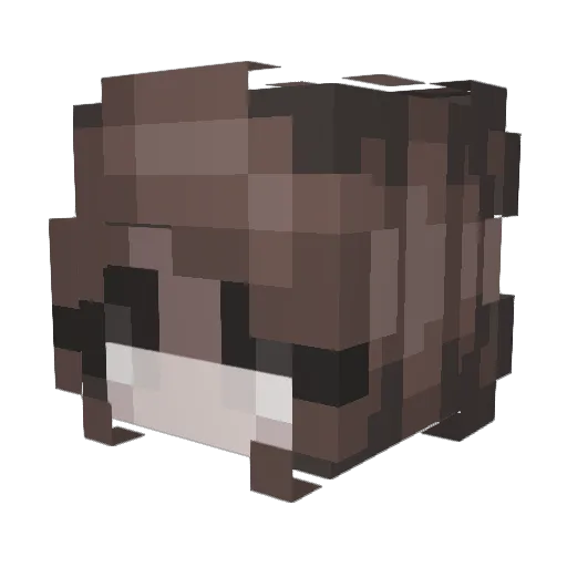 vrnu Minecraft avatar head, 3D render
