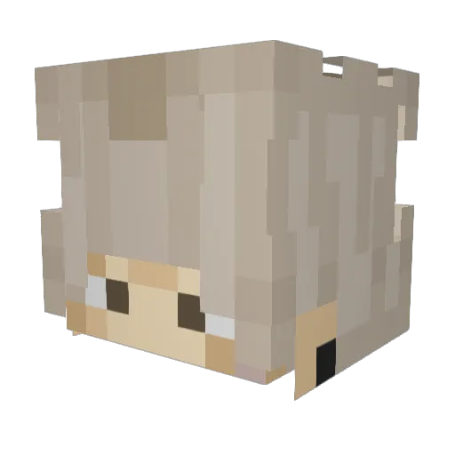 vroxxv Minecraft avatar head, 3D render