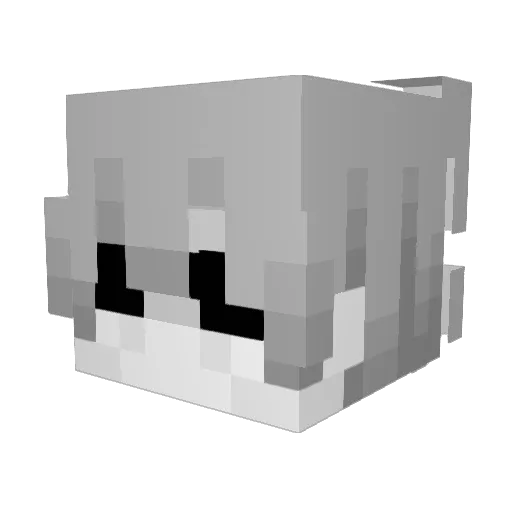 vrystaatboer Minecraft avatar head, 3D render