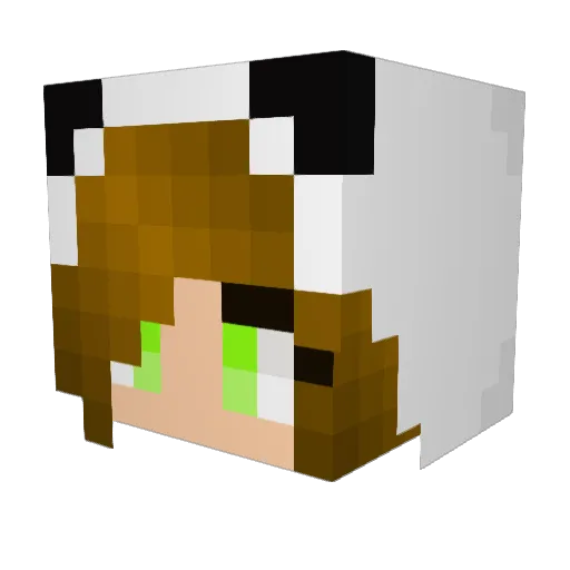 vsantore24 Minecraft avatar head, 3D render