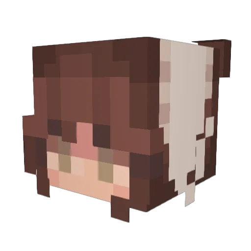 vsodii_ Minecraft avatar head, 3D render