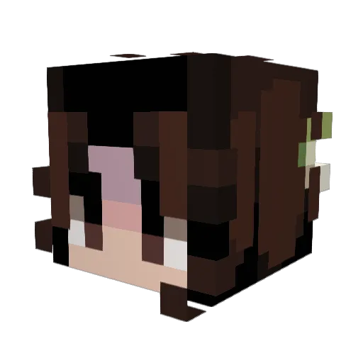 vsommer Minecraft avatar head, 3D render